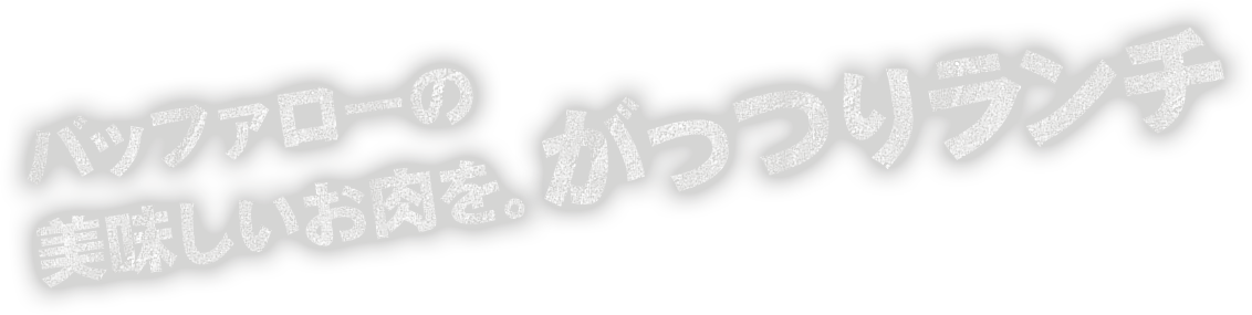 バッファローの美味しいお肉を。がっつりランチ