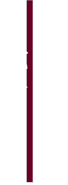 お肉の専門知識が身につく