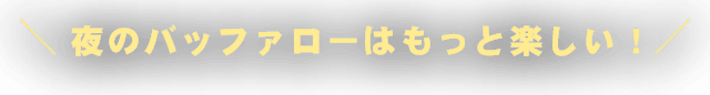 夜のバッファローはもっと楽しい！