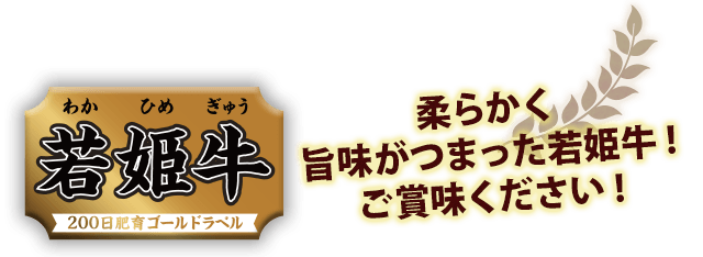 若姫牛 200日飼育ゴールドラベル｜柔らかく旨味がつまった若姫牛!ご賞味ください!