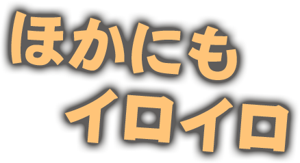 ほかにも　イロイロ